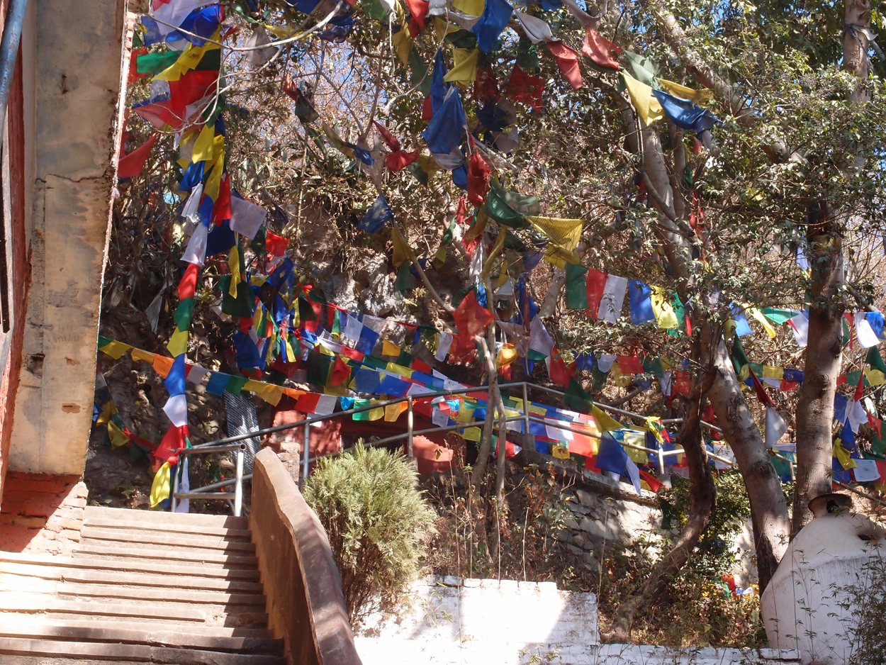 2018-01-23 10 Uhr - Pharping (Audio, Foto, Video) 